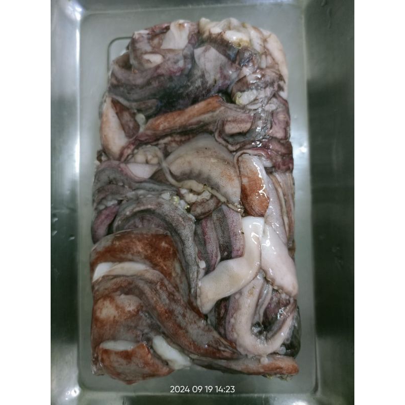 

Kepala Cumi 1kg Frozen