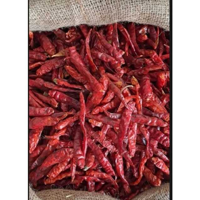 

cabai teja kering 1kg