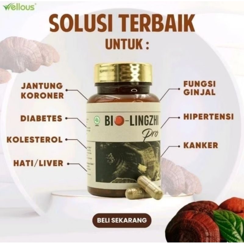 

Bio Lingzhi Pro Original By Wellous Herbal Cepat Mengatasi Batu Ginjal Ready
