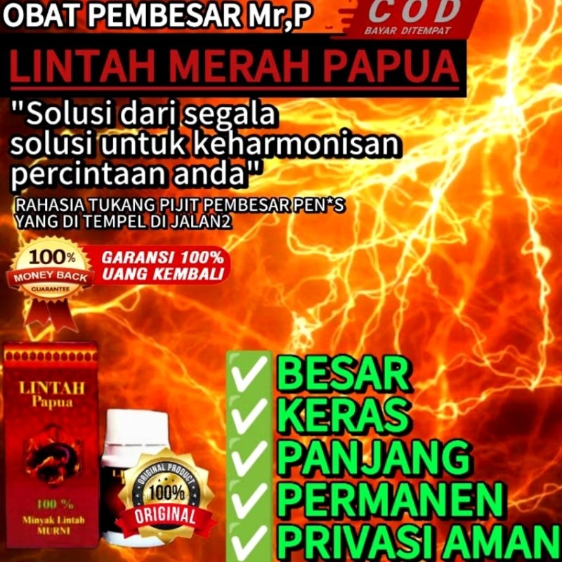 Original Lintah Merah Papua