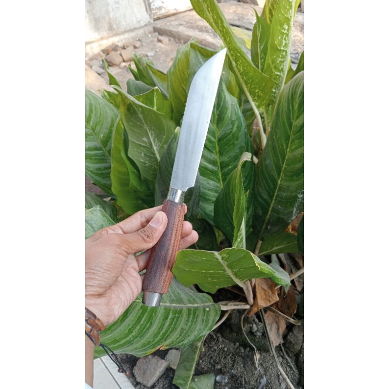 pisau baja keren lucu super tajam