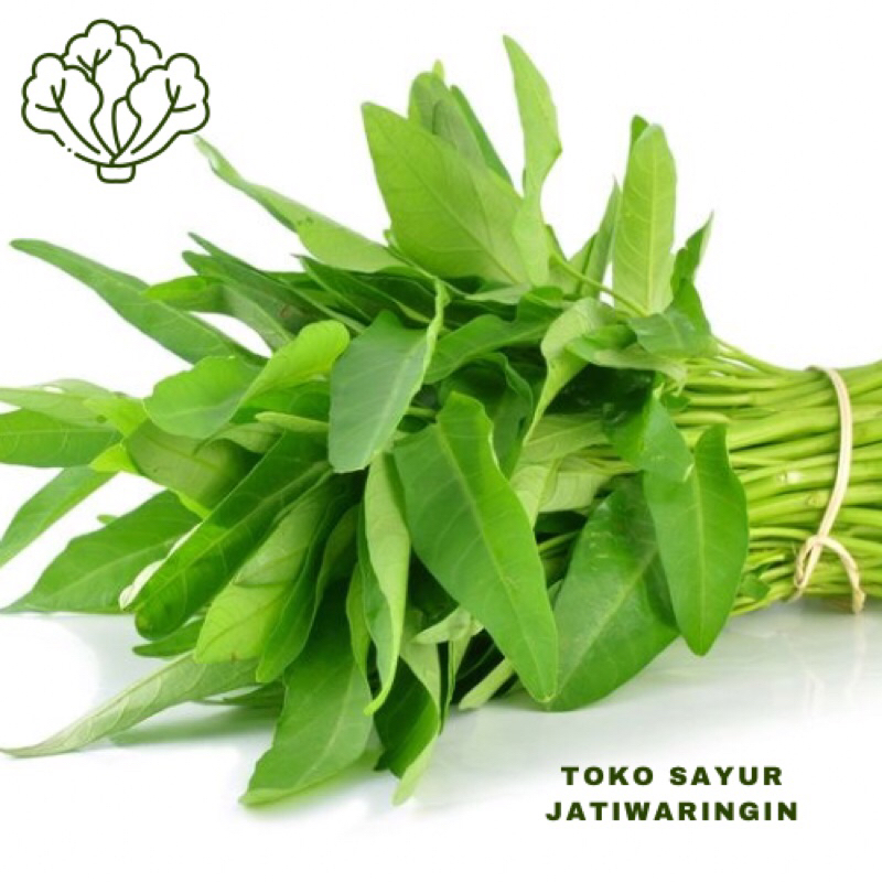 

KANGKUNG / KANGKUNG FRESH 500gr - 1Kg