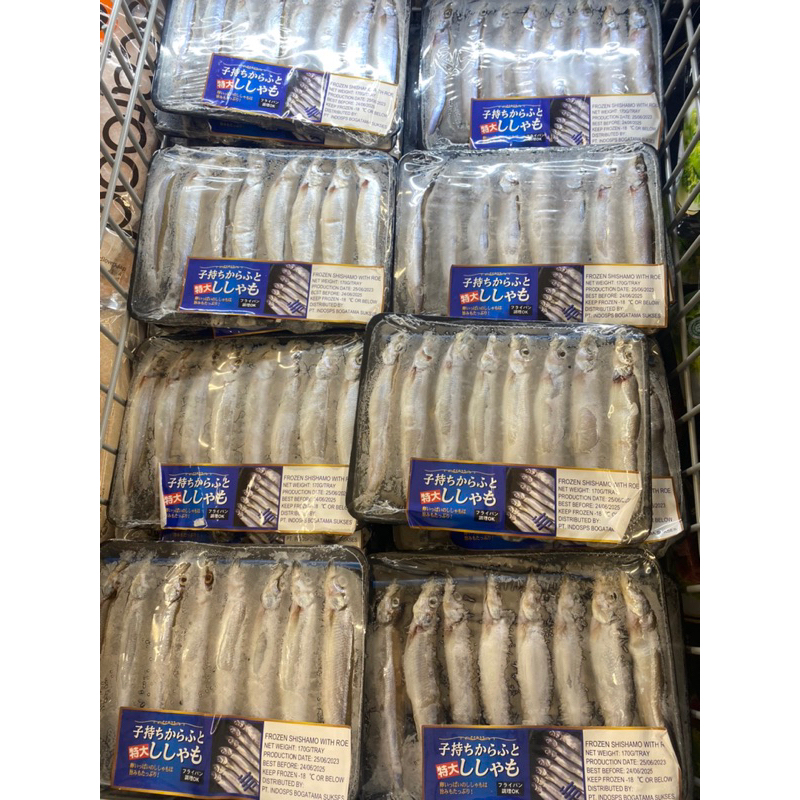 

Ikan shisamo (ikan viral cipung)