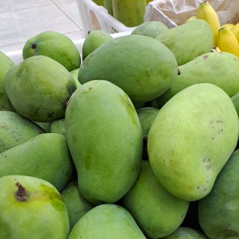 

Mangga harum manis awur