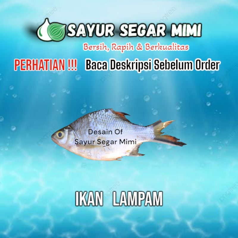 

Ikan Lampam - Sᴀʏᴜʀ Sᴇɢᴀʀ ♏ɪᴍɪ