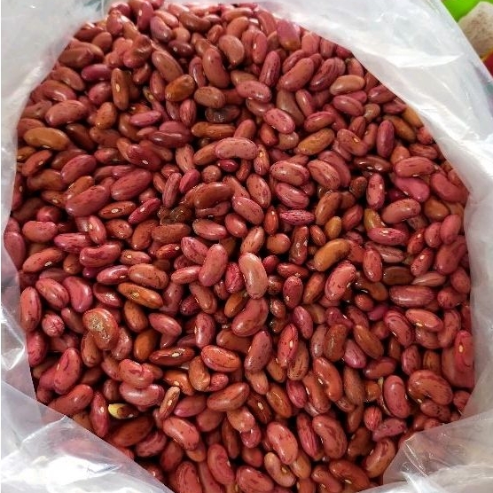 

Kacang Rendang / kacang Merah Kering 250GR