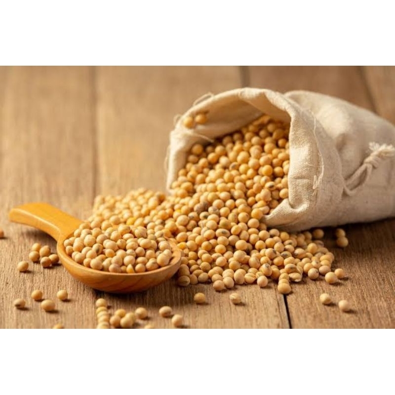 

kacang kedelai mentah 500 gram premium