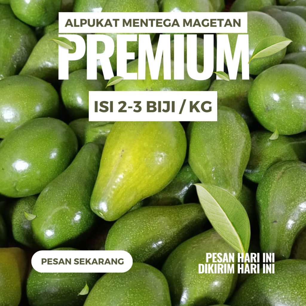 Alpukat Mentega Magetan [Premium] | Isi 2-3 Biji Per 1Kg