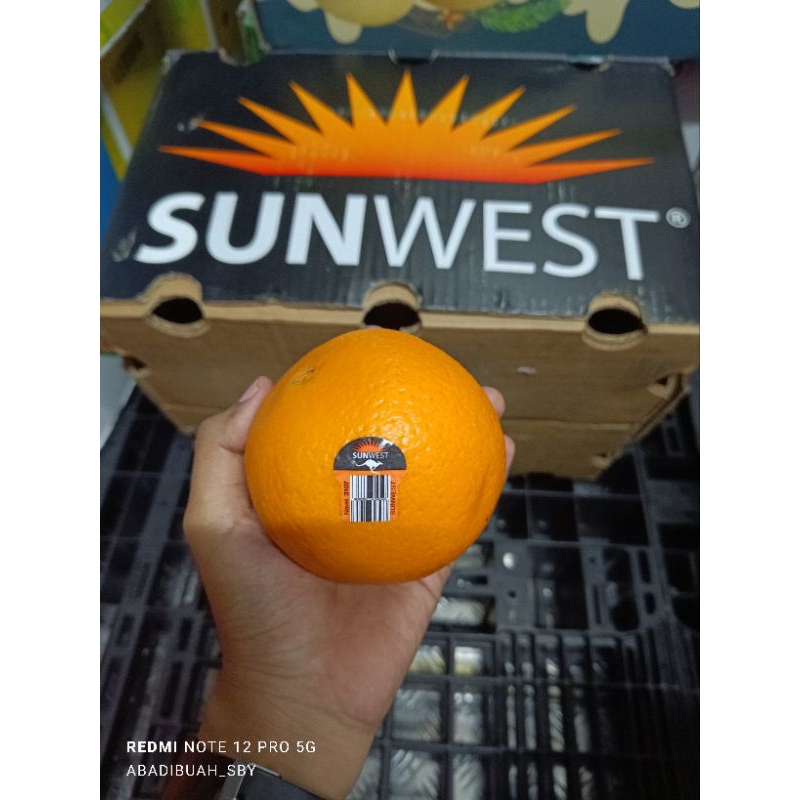 Jeruk Sunkist Navel Australia Sunwest Black size 56  / kg