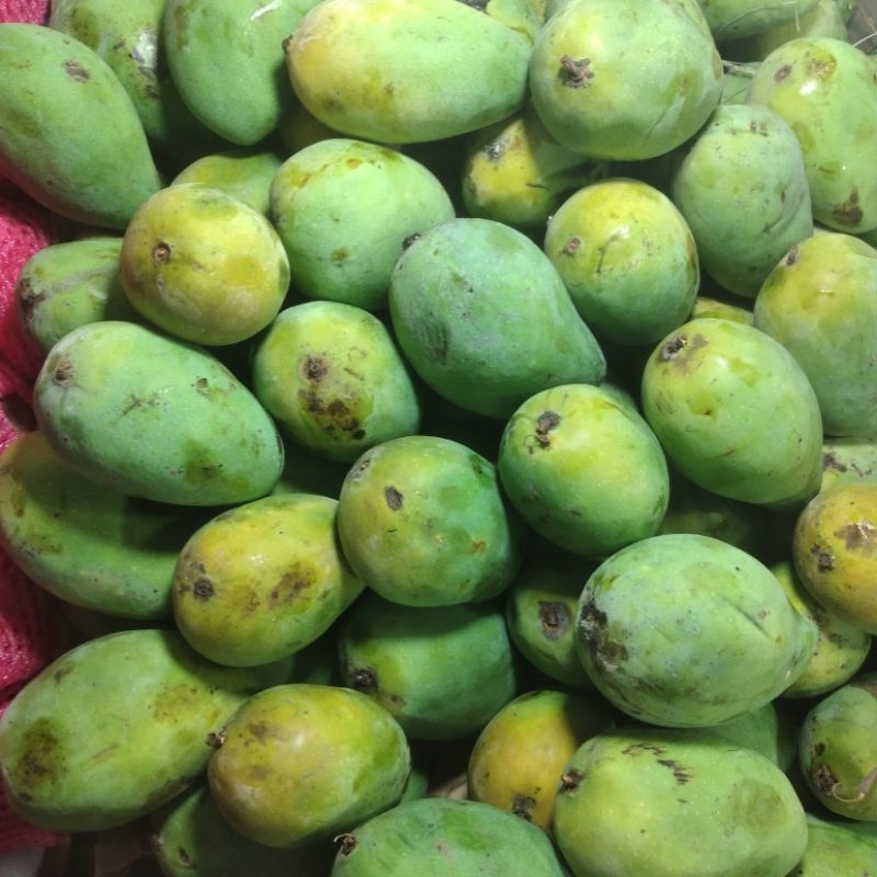 

mangga harum manis freah manis/ 1kg