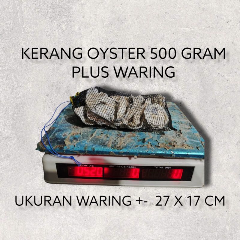 Oyster plus waring 500 gram / oyster / kerang oyster / cangkang kerang / media filter / media filter