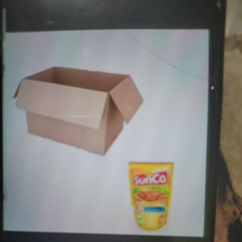 

kardus isi sUN c0 2L