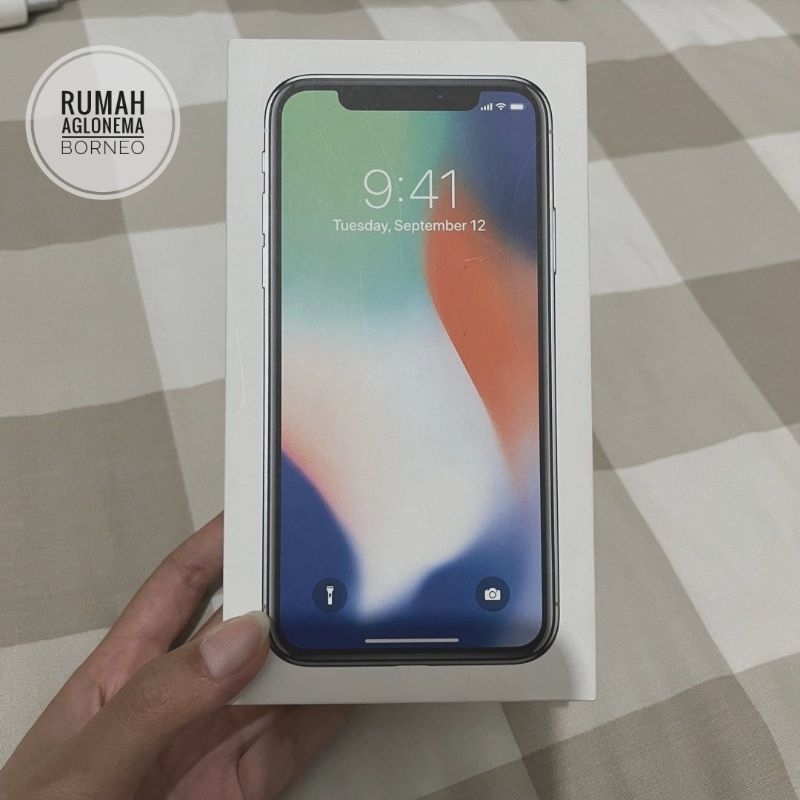 iPhone X 256 GB Warna Silver putih second