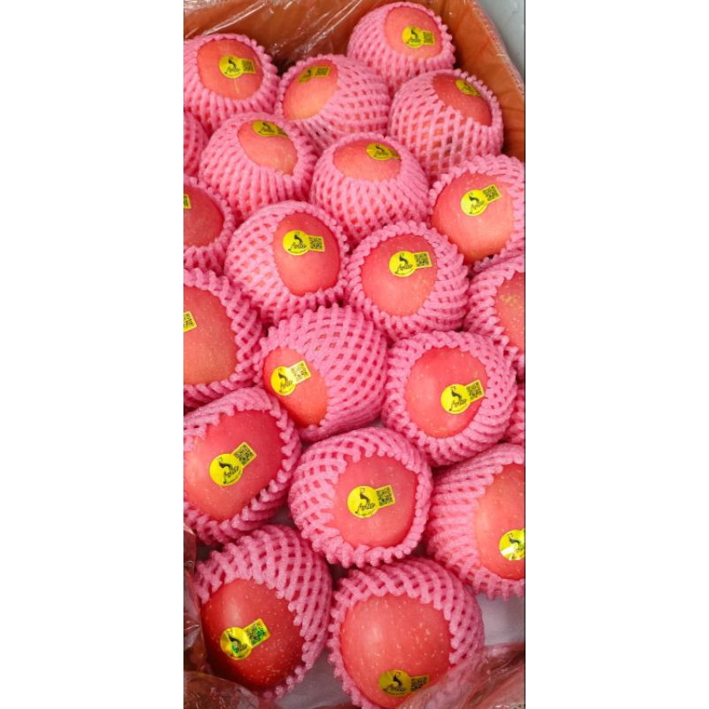 

Apel Fuji Grade Premium Keras, Renyah dan Manis
