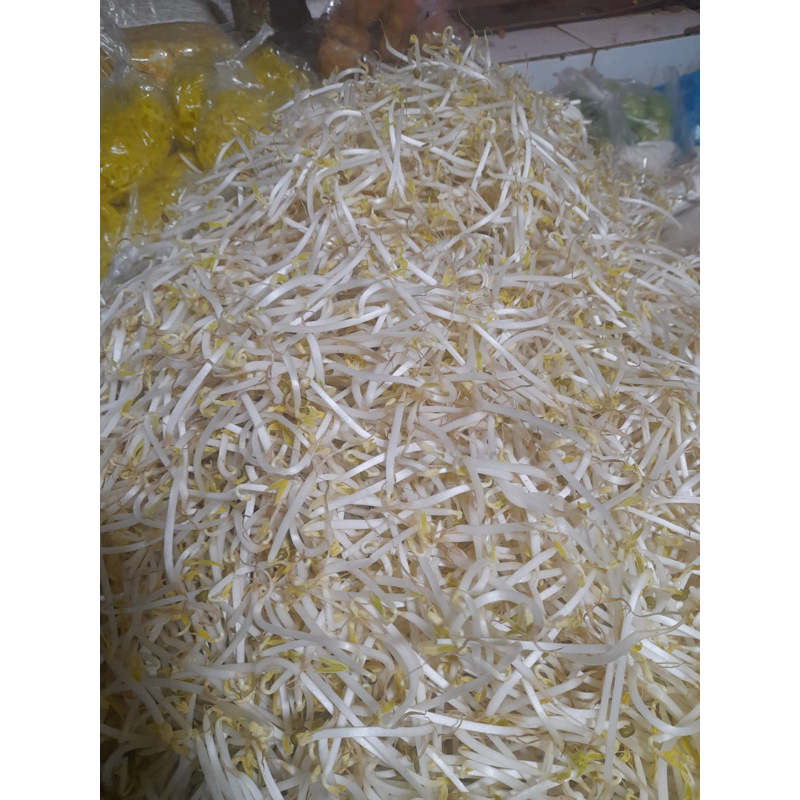 

Toge jepang 100 gram