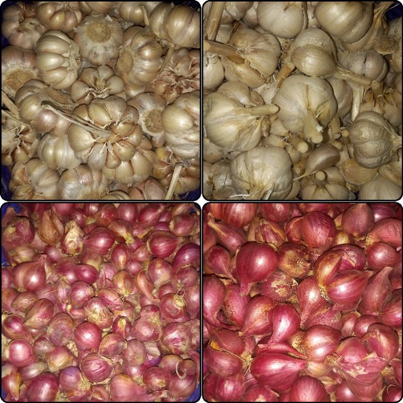 

BAWANG PUTIH BAWANG MERAH 1KG