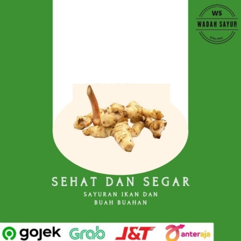

Laja/Lengkoas Segar ( 250 Gram ) | Wadah Sayur Bogor