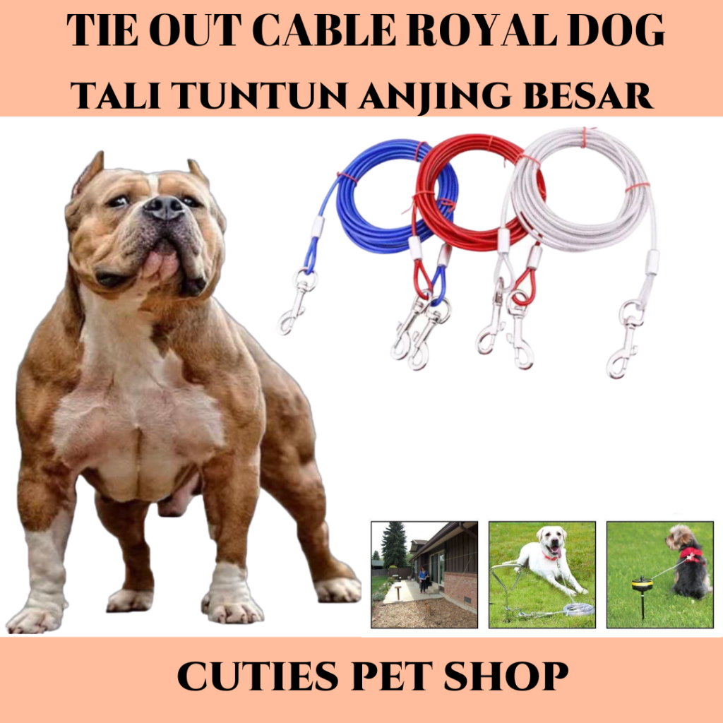 TIE OUT CABLE ANJING RAS MEDIUM - BESAR UP TO 68 KG TALI TUNTUN ANJING BULLDOG GOLDEN DLL
