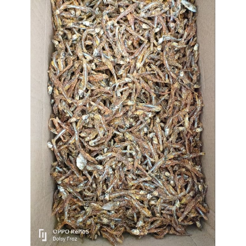 

TERI DENDENG