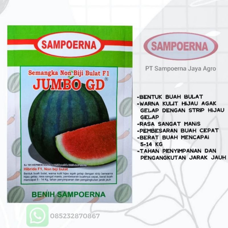 benih semangka Non biji JUMBO GD