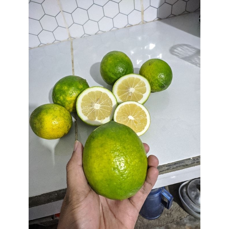 

LEMON CALIFORNIA
