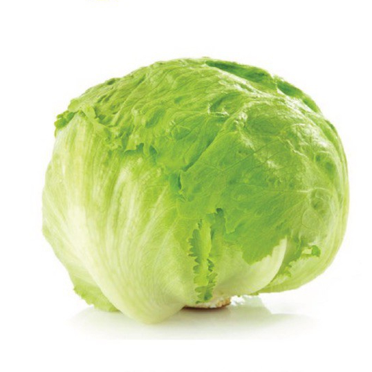 

Lettuce Iceberg 500 gram - 1 kg Surabaya