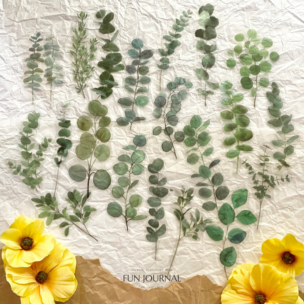 

VARIOUS PLANTS ON FOREST TRANSPARANT STICKER STIKER PACK UNTUK JOURNAL JURNAL SCRAPBOOK DIY BUJO