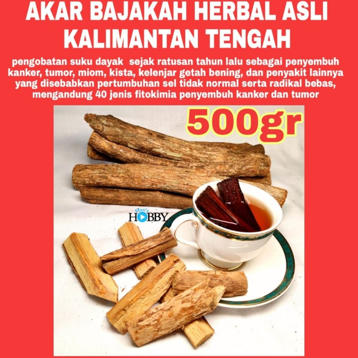 

AKAR BAJAKAH KHAS KALIMANTAN