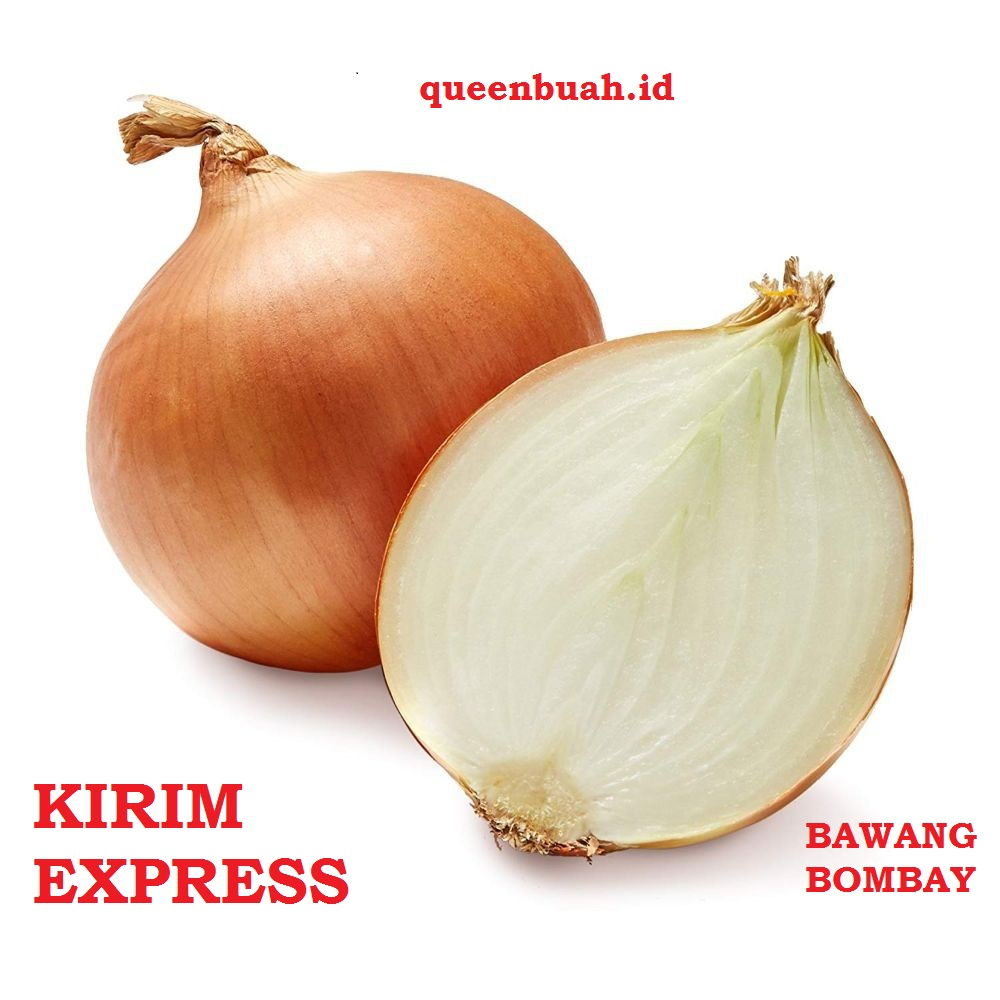 

QUEENBUAH - BAWANG BOMBAY UKURAN BESAR HARGA GROSIR