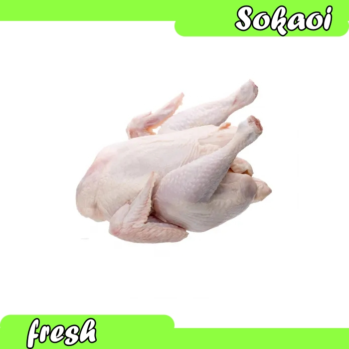 

DAGING AYAM UTUH WHOLE CHICKEN BERAT 1,3 KG