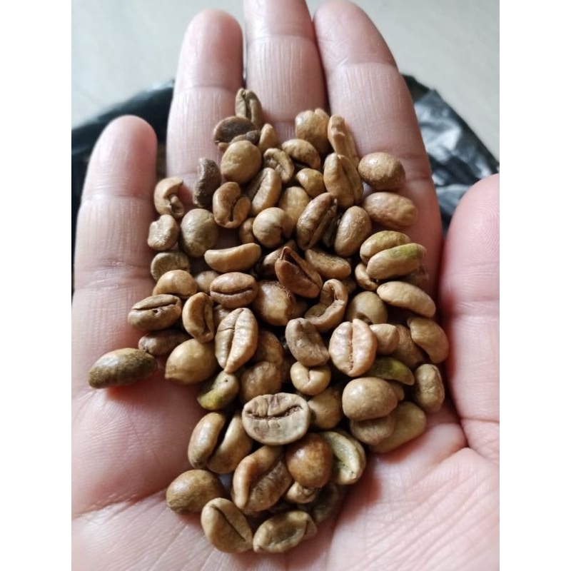 BIJI KOPI NONGKO 250 GRAM