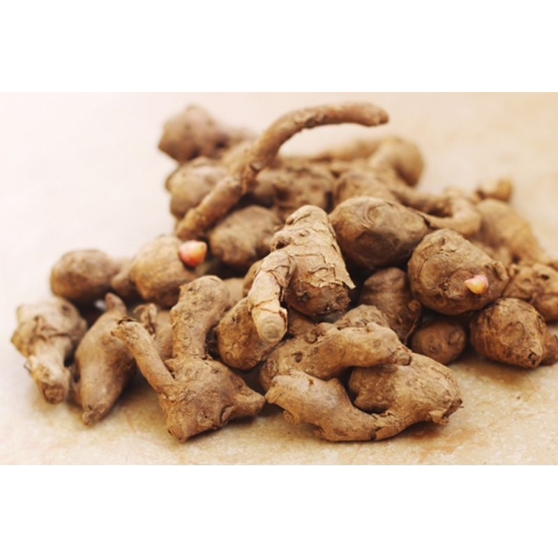 

TEMU KUNCI 100 GRAM