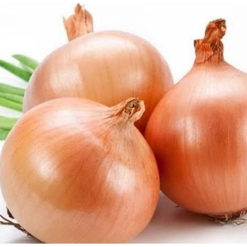 

bawang bombay besar 1 kg