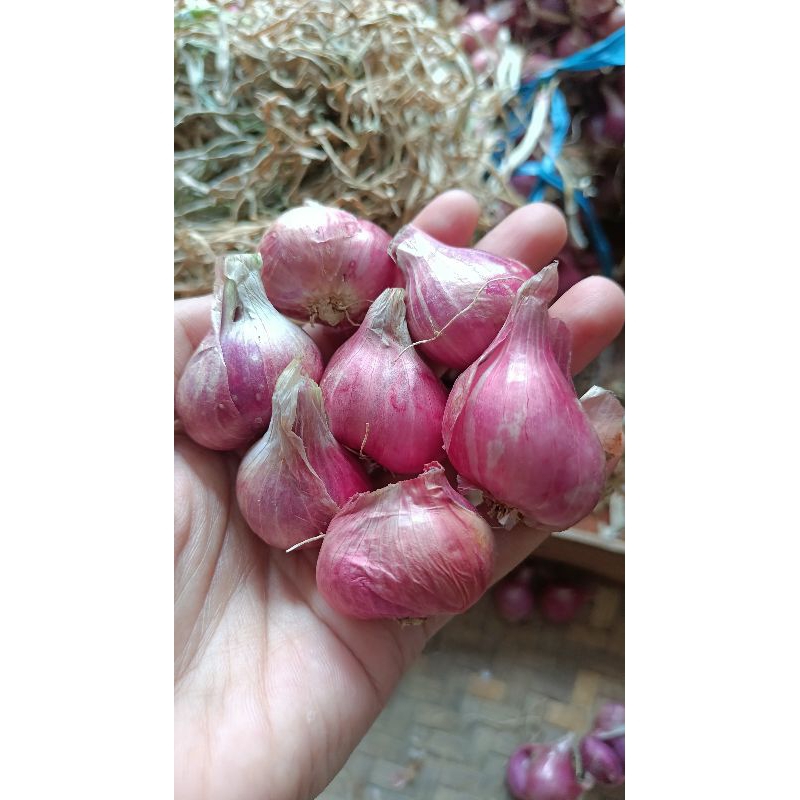 

Bawang merah 1kg