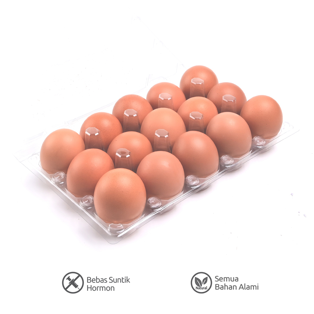 

Telur Ayam 15 Butir