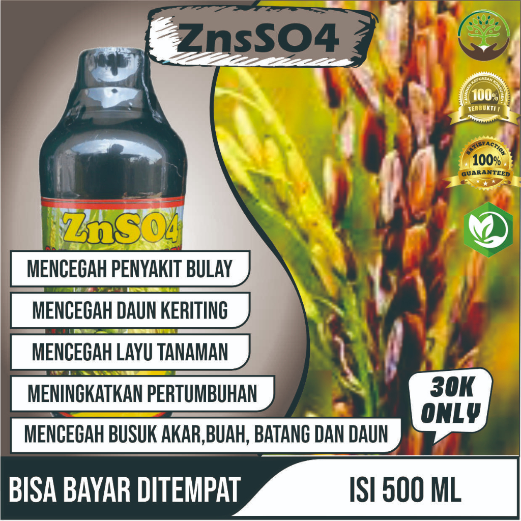 ZnSO4 GAZA ZINK SULFATE obat sundep padi paling ampuh obat sundep beluk padi terbaik obat sundep pad