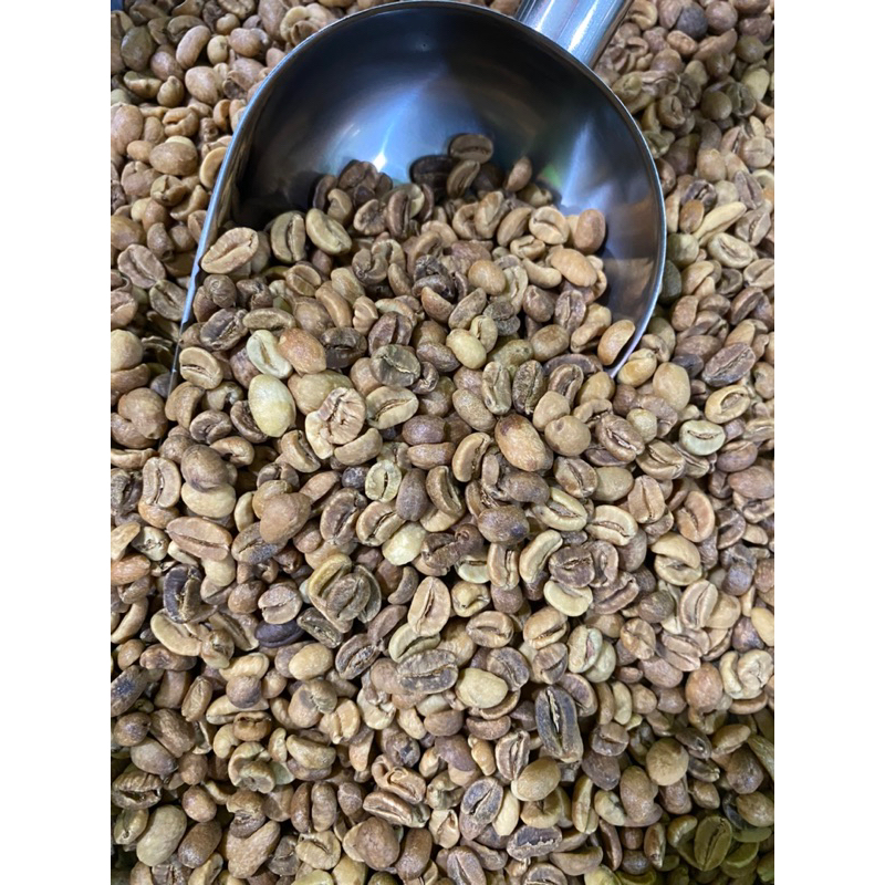 

Green beans Arabika Gayo Wine biji kopi mentah