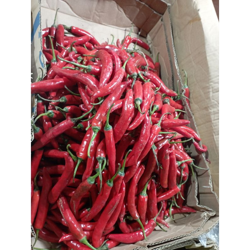 

cabe merah jumbo 500gr