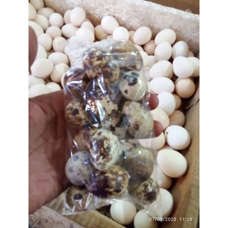 

telor puyuh bungkusan