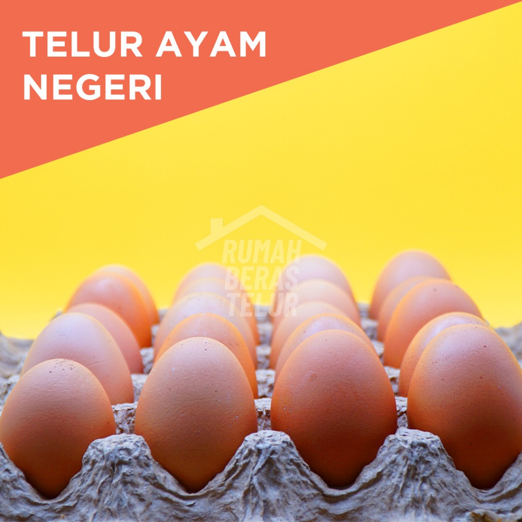 

TELUR AYAM NEGERI FRESH PER KG (15-16 BTR) TERMURAH !!