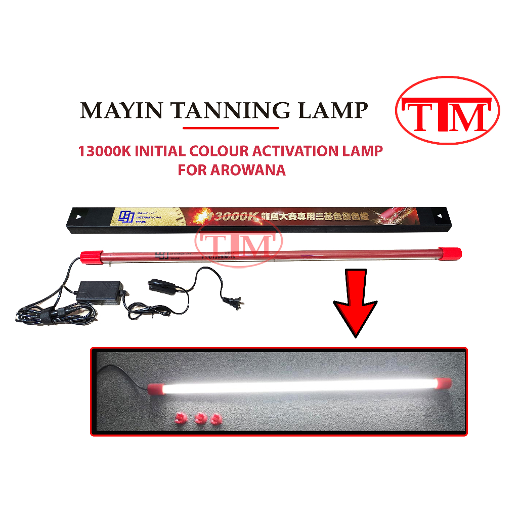 LAMPU TANNING 92CM MAYIN T5 13000K LAMPU PENCERAH WARNA IKAN ARWANA