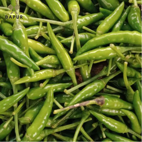 

Cabe Rawit Bencong [Mutu Terjamin]