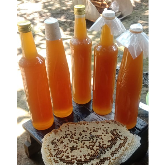 

Madu Trigona | Madu Klanceng [500gr]