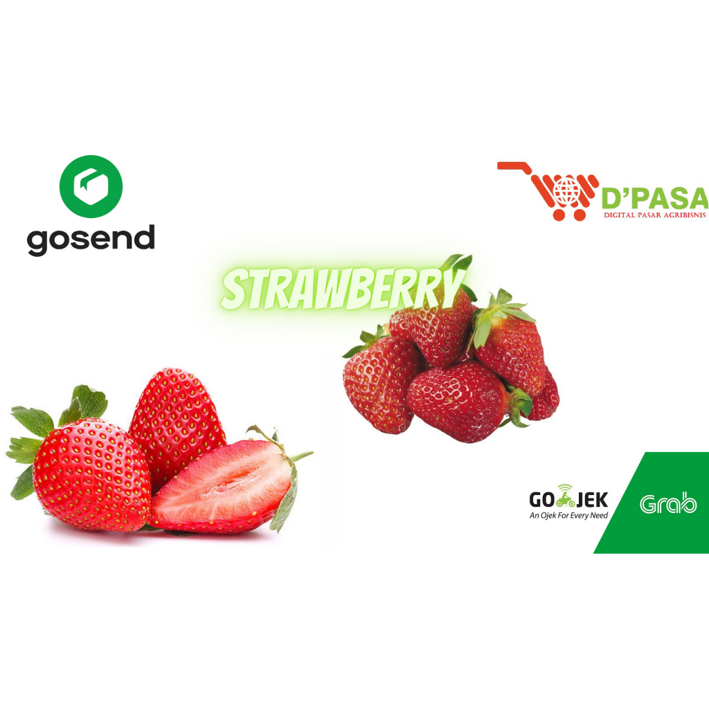 

KIRIM INSTAN Strawberry Jumbo 100gr