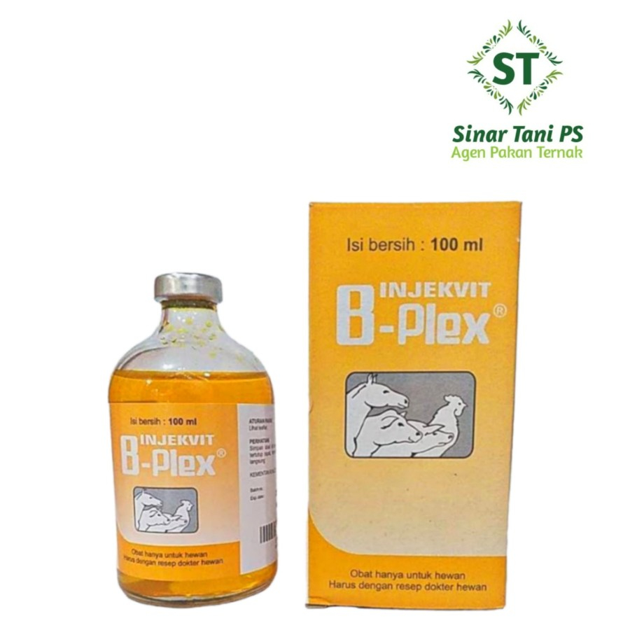 Injekvit B-Plex 100 Ml Injeksi Vitamin B Kompleks 100 Ml