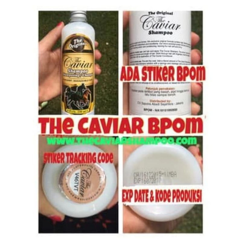 Caviar Shampoo Caviar Ori BPOM Shampoo Kuda Caviar Shampoo Kuda