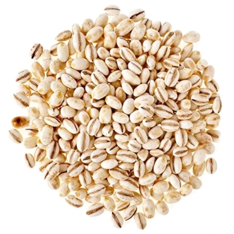 

PEARL BARLEY HOLLAND / BARLEY / YI MI Organic