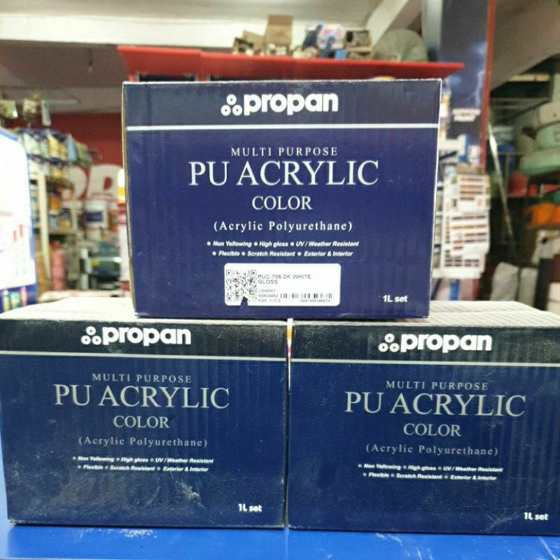 

Propan PU ACRYLIC COLOR ( PUC-786 2 K) WHITE/ BLACK 1 lt set