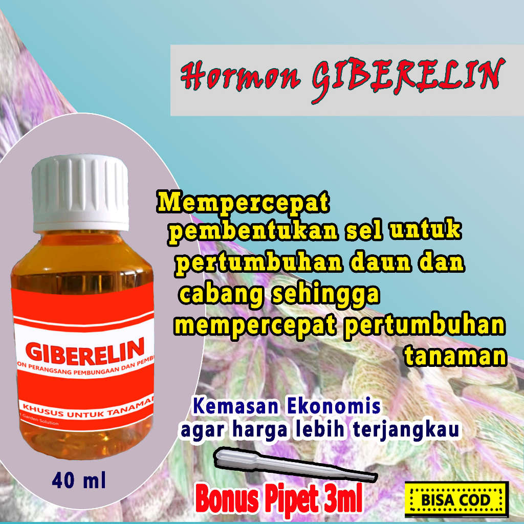 Pupuk Hormon Giberelin Pembungaan dan Pembuahan