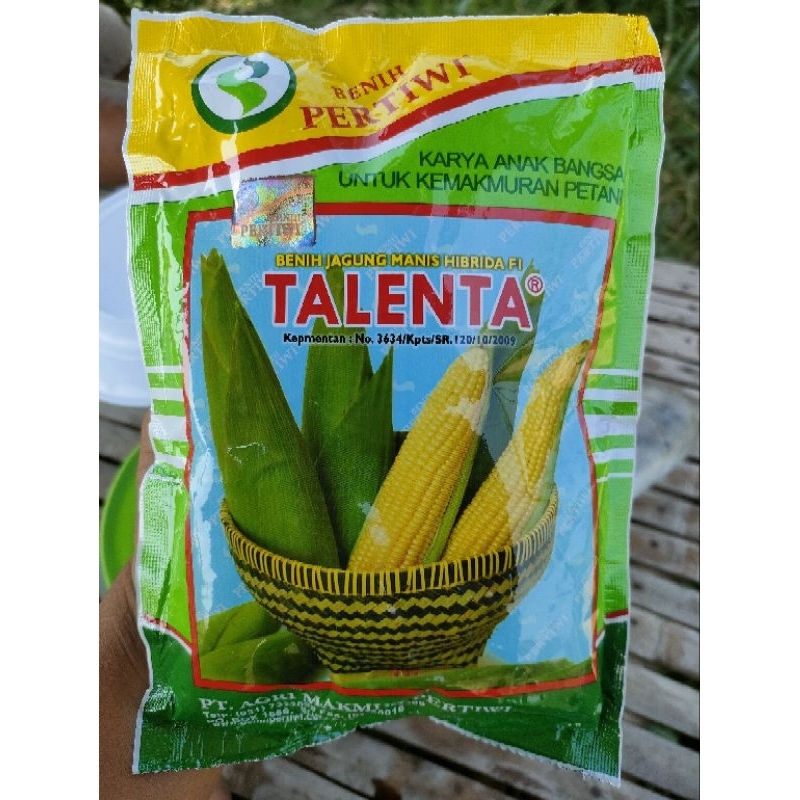 Benih Jagung Manis Talenta Pertiwi Bibit jagung manis